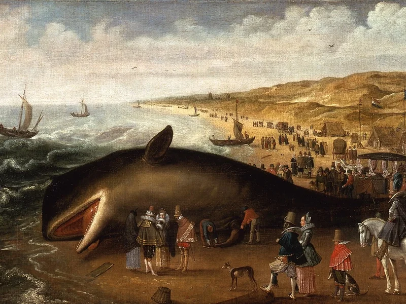 1587-Esaias van de Velde - La balena spiaggiata